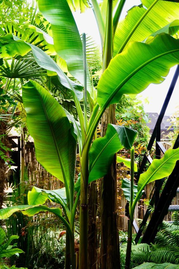 Jungle Stay In A Hidden Paradise Звейндрехт Экстерьер фото